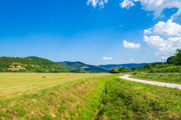 Obraz premium Beautiful agriculture landscape at the outback of Istria, Croatia