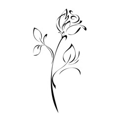 stylized rose flower on stem with leaves in black lines on white background