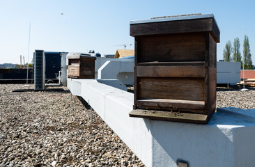 Beehives on the industrial roof in Leiden The Netherlands