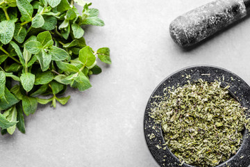 Dry mint in a mortar and fresh mint leaves on white background.
