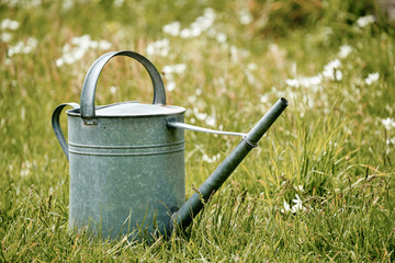 Old metal watering can standing in a beautiful flowering springtime meadow