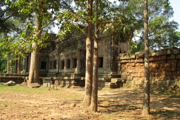 Cambodia Angkor Wat Jungle Temple in a summer day
