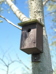 birdhouses on the tree