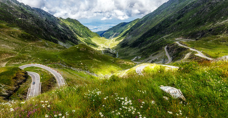 Breathtaking mountain Landscape. magical Spring scene with fresh  flowers on the mountain valley, near Transfagarasan road.