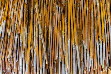 Yellow dried straws