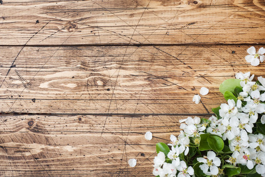 Spring flowering branch on wooden background. Apple blossoms Copy space