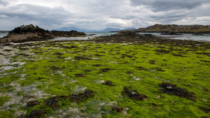 Obraz premium the most beautiful island in Ireland : INISHBOFIN