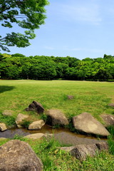 初夏の林と草原と小川のある21世紀の森と広場風景