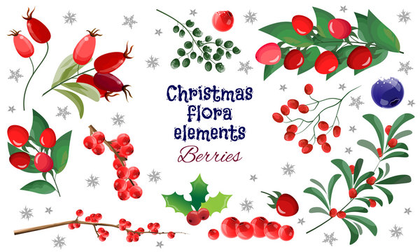 christmas background with red berries