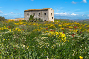 Picturesque Sicilian Scenery, Caltanissetta, Sicily, Italy, Europe