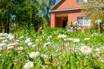 Red russian house with metal roof and metal fence