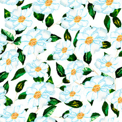 Seamless floral background wallpaper with white flowers. Aquarelle painting