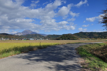 滋賀県の名峰、伊吹山が見える快晴の田園風景