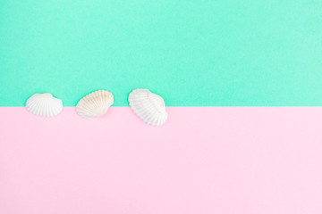 The concept of summer vacation at sea. A two-colored background - pink and green - on which are seashells. Stylish pastel photo. Flat lay, minimalism, top view, copy space.