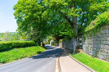 road in the park