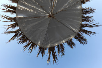 Parasol