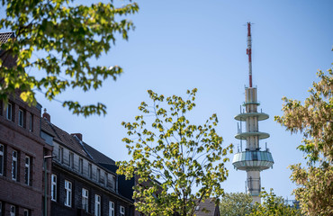 A communications-tower stands between rows of trees in Duisburg, Germany. These towers are used to broadcast radio and other data. Foto: Fabian Strauch / FUNKE Foto Services GmbH