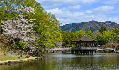 Ukimido Gazebo during cherry blossom