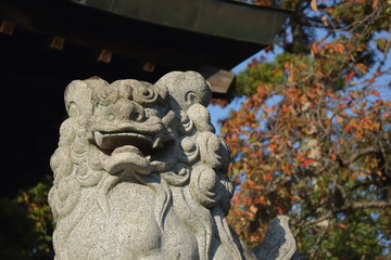 左耳の上にトンボがとまっている狛犬