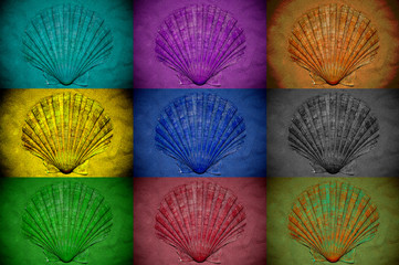 Collage of seashells treated with different color filters