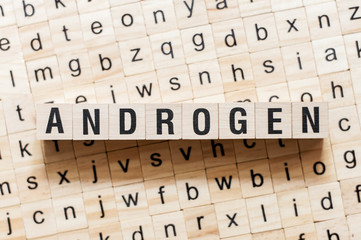 Androgen word concept on cubes