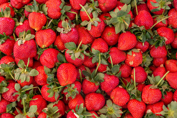 Strawberry raw at the market background with copy space.