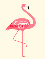 Summer Sale concept with Colorful Cartoon Pink Flamingo Background. Vector Illustration
