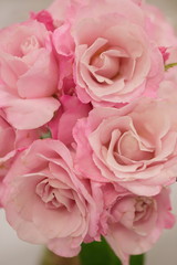 ピンクの薔薇の塔