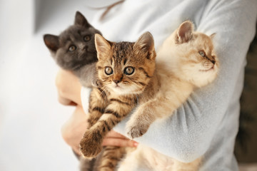 Woman with cute funny kittens at home © Pixel-Shot