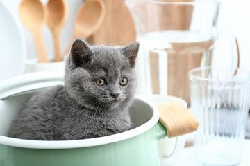Cute funny kitten in pot on kitchen table © Pixel-Shot
