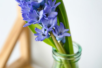 Bottle with beautiful hyacinth flowers, closeup