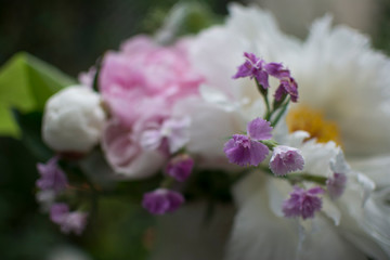 Fototapeta na wymiar Spring Bouquet, Peonies.