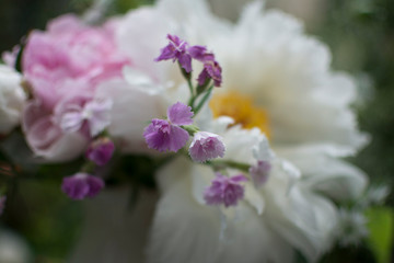 Spring Bouquet, Peonies.