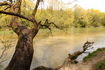 Frühling an der Isar bei München