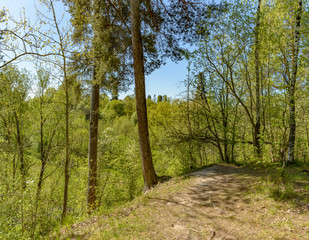 The Sablino nature reserve.