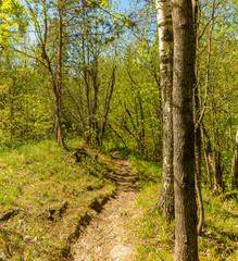 The Sablino nature reserve.