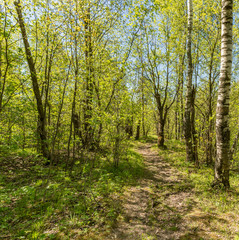 The Sablino nature reserve.