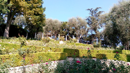 Park in spring. Flowers alley with marigolds in the garden on a sunny day. Villa Rothschild in Saint Jean Cap Ferrat.