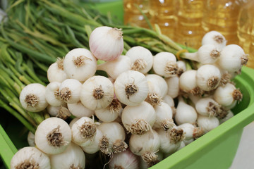 Green garlic - fresh natural spicy food ingredient. Young garlic as background. Organic vegetables and herbs on a farmer market. Healthy eating. A strong-smelling pungent. 