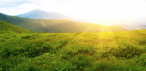 Mountains landscape in the summer