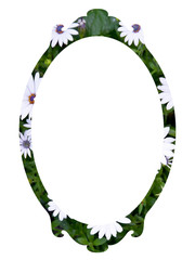 frame  of green leaves and white flowers
