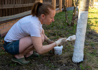 Girl gardener handles tree trunk for sun protection. Spring processing of plants.