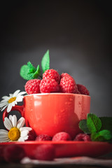 Raspberry. Raspberries in a Cup on a dark background. Summer and healthy food concept. Background with copy space. Selective focus.