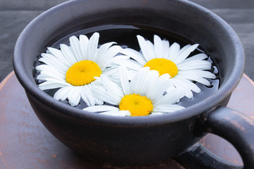 Cup of chamomile tea and chamomile flowers on wooden background.