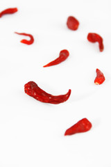 pods of red dried hot bitter edible pepper on a white background