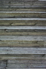 Obraz premium Wood background