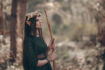 beautiful elf woman fabulous, fairy forest, famtasy young woman with long ears, long dark hair golden wreath crown on head - obrazy, fototapety, plakaty