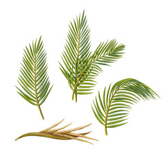 Palm Fronds and Flowers Pencil Illustration Isolated on White