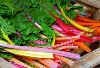 Bunches of rainbow Swiss chard with bright red  and orange stalks and green leaves for sale at a farmers market