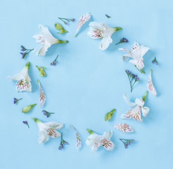 Flowers on a light blue background